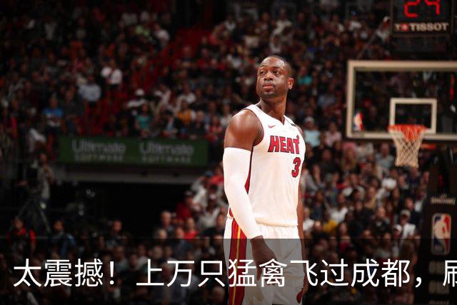 太震撼！上万只猛禽飞过成都，刷新本地纪录