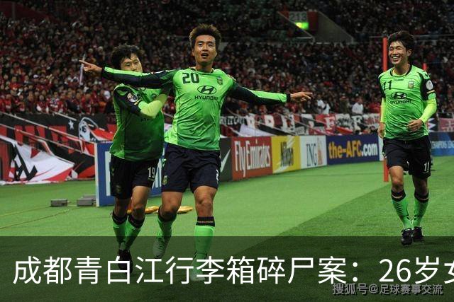 成都青白江行李箱碎尸案：26岁女毕业生为何对亲生母亲痛下杀手