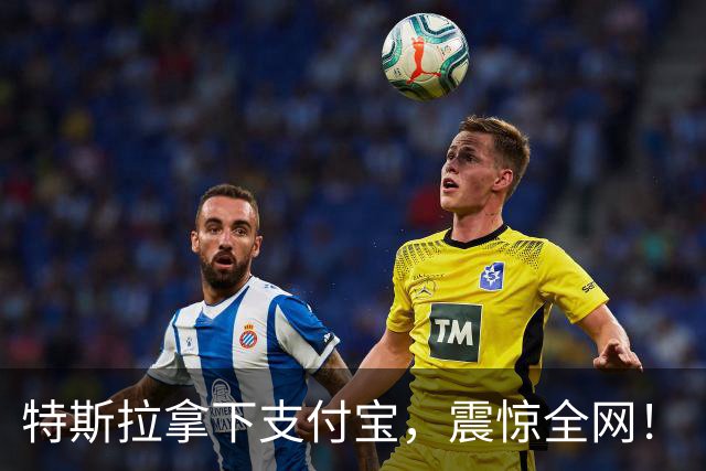 特斯拉拿下支付宝，震惊全网！