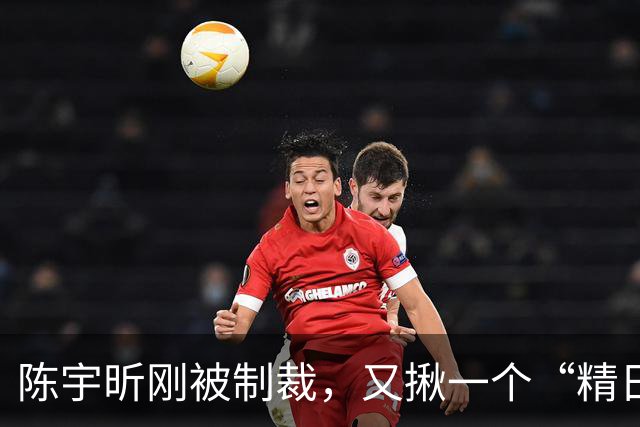 陈宇昕刚被制裁，又揪一个“精日”人员：竟然还是本土企业老板