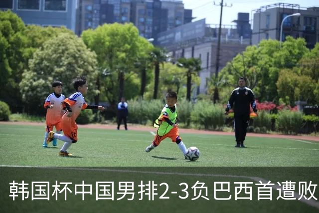韩国杯中国男排2-3负巴西首遭败绩 主攻李磊伤退